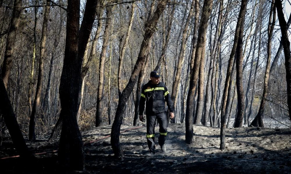 Η "κόλαση του Δάντη" στην Ηλεία: Εικόνες που θλίβουν – Σύλληψη για εμπρησμό (Εικόνες & Βίντεο)